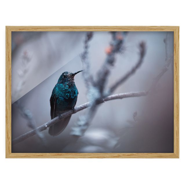 Wandbilder Modern Kolibri im Winter