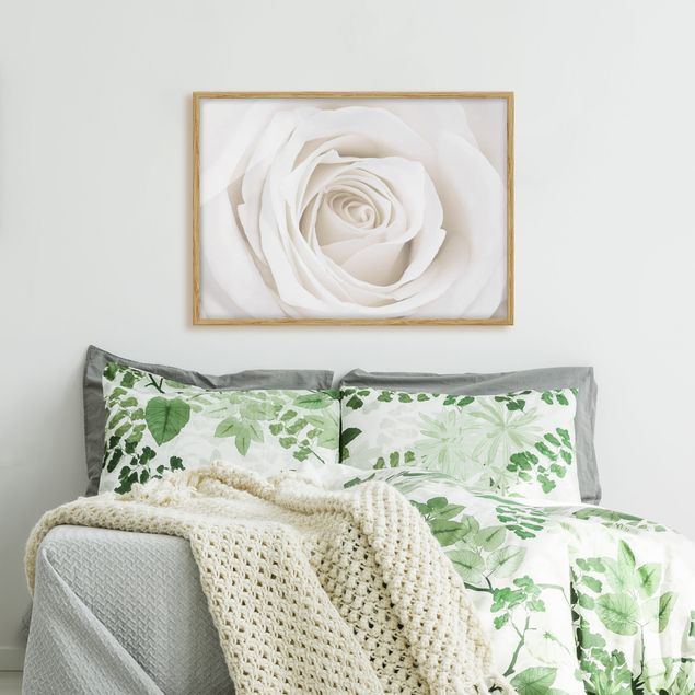 Blumenbilder mit Rahmen Pretty White Rose