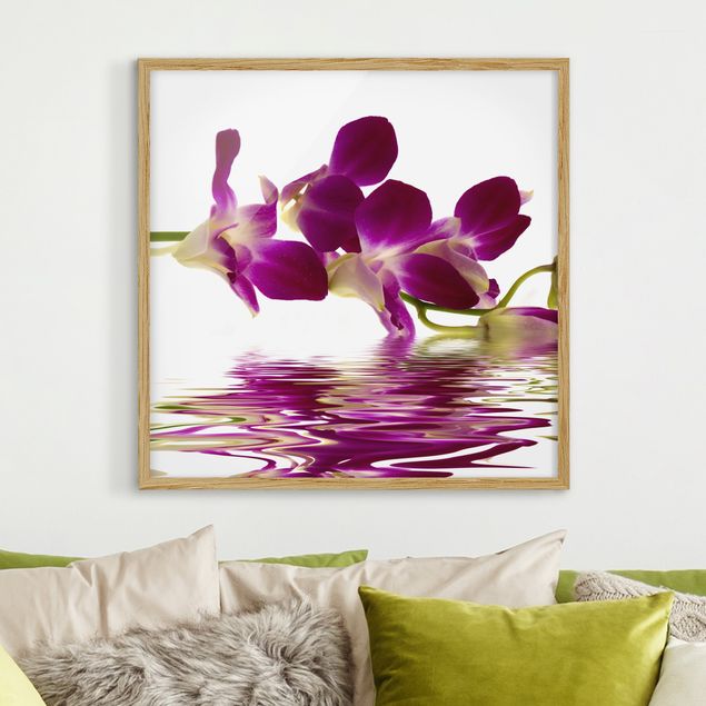 Wandbilder Orchideen Pink Orchid Waters