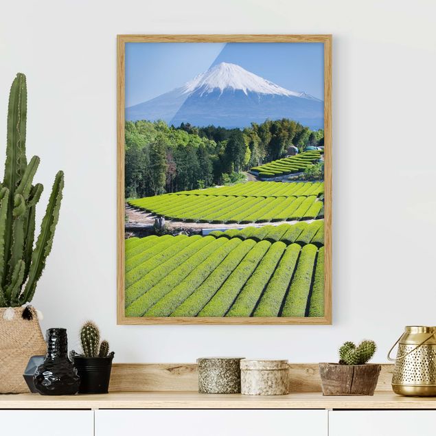 Küchen Deko Teefelder vor dem Fuji