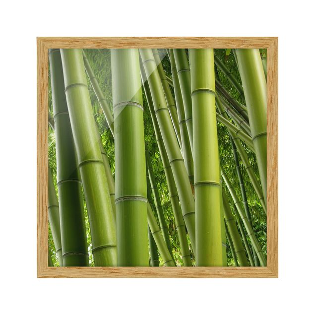 Wandbilder Landschaften Bamboo Trees