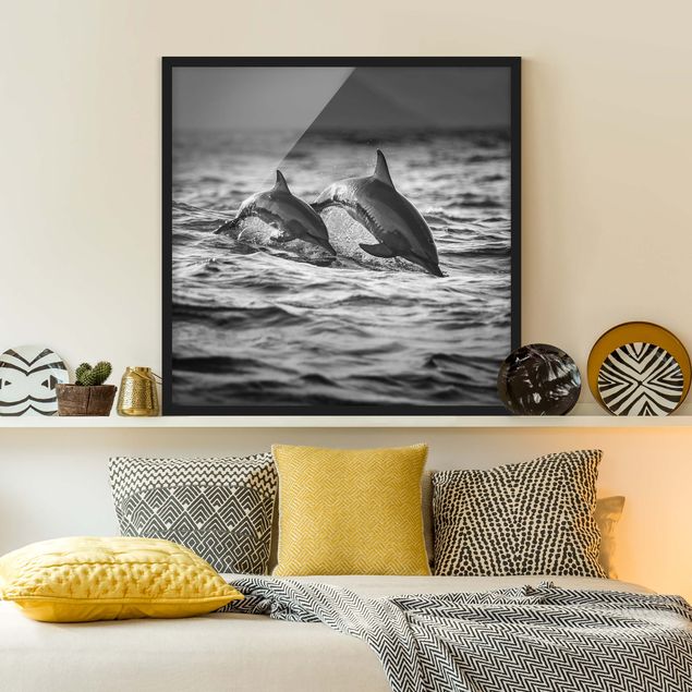 schwarz-weiß Bilder mit Rahmen Zwei springende Delfine