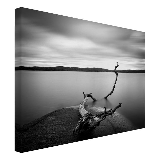 schwarz-weiß Bilder auf Leinwand Sonnenuntergang am See schwarz-weiß