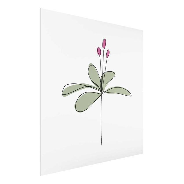 Glasbilder Blumen Seerose Line Art