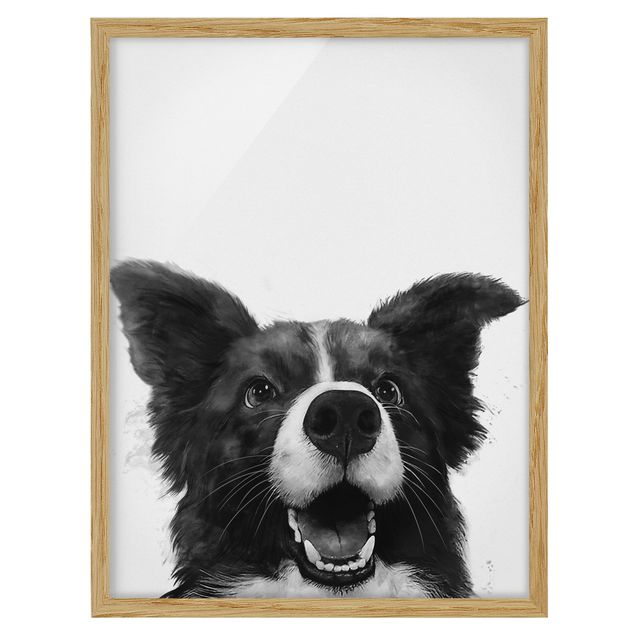 Tierbilder mit Rahmen Illustration Hund Border Collie Schwarz Weiß Malerei