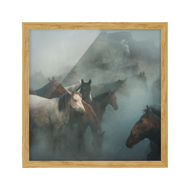 Wandbilder Modern Wilde Pferde