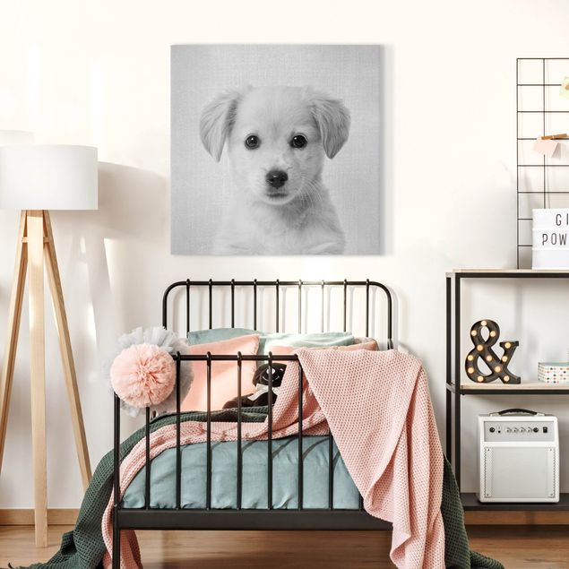 Wandbilder Hunde Baby Golden Retriever Gizmo Schwarz Weiß