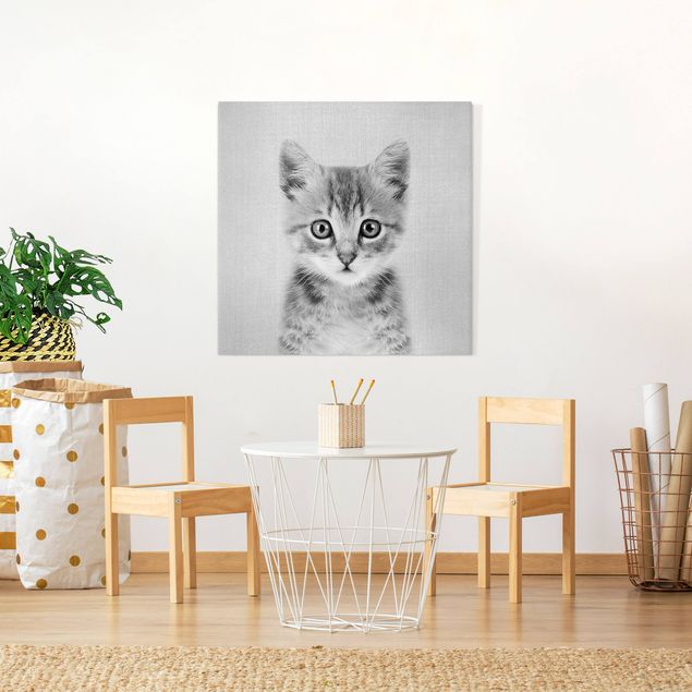 Wandbilder Katzen Baby Katze Killi Schwarz Weiß