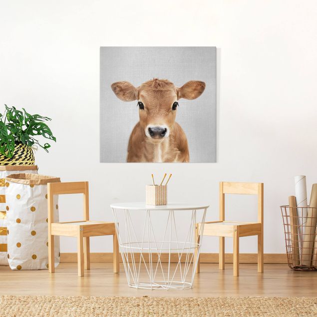 Leinwandbilder Tiere Baby Kuh Kira