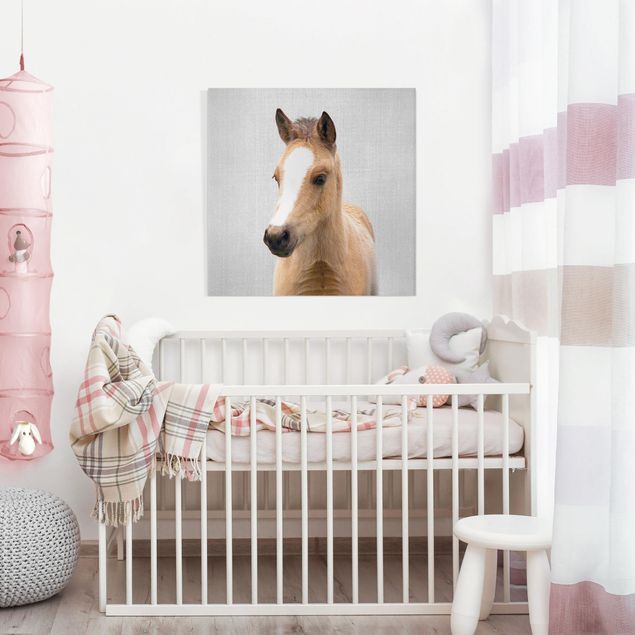 Wandbilder Pferde Baby Pferd Philipp