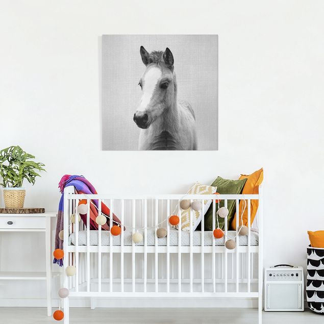Wandbilder Pferde Baby Pferd Philipp Schwarz Weiß