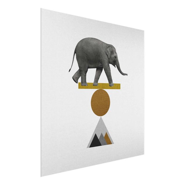 Wandbilder Modern Balancekunst Elefant