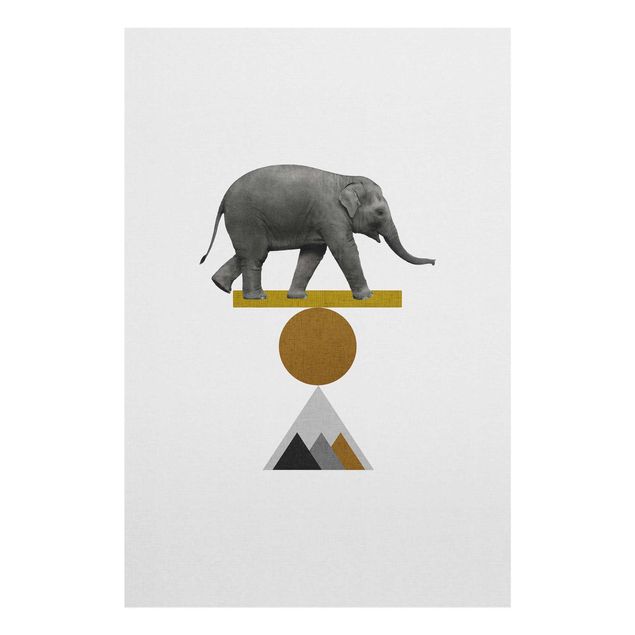 Wandbilder Grau Balancekunst Elefant