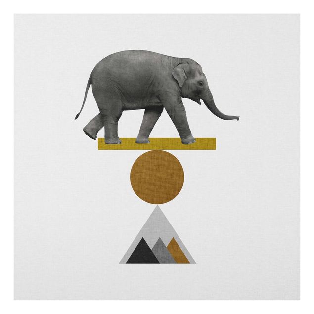 Wandbilder Grau Balancekunst Elefant