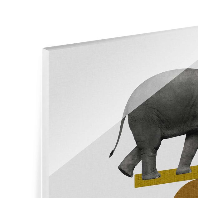 Glasbilder Balancekunst Elefant