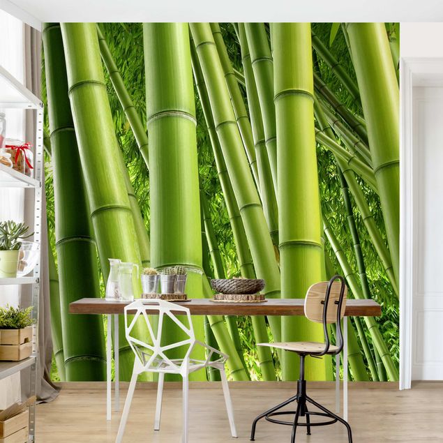 moderne Fototapete Bamboo Trees