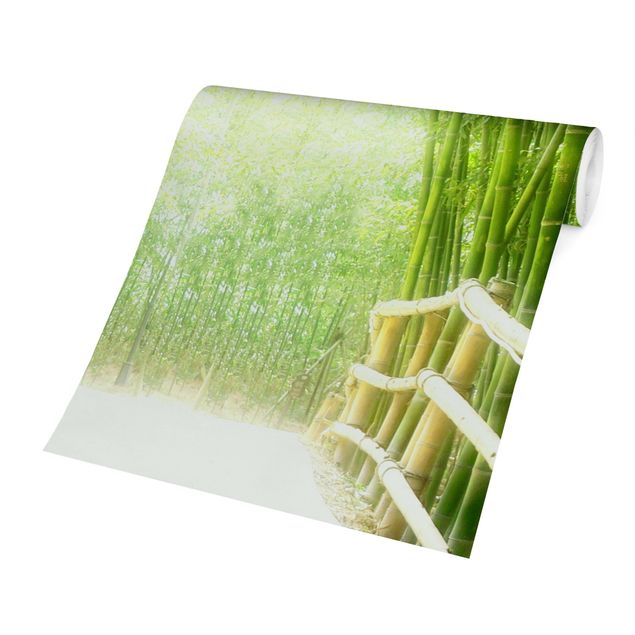 Fototapeten Grün Bamboo Way