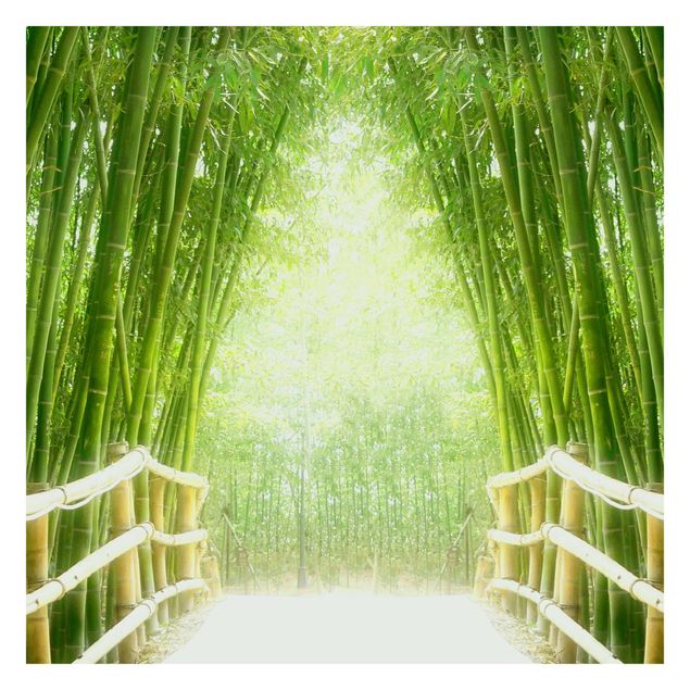 Fototapete kaufen Bamboo Way
