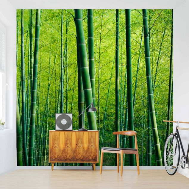 Fototapete modern Bambuswald