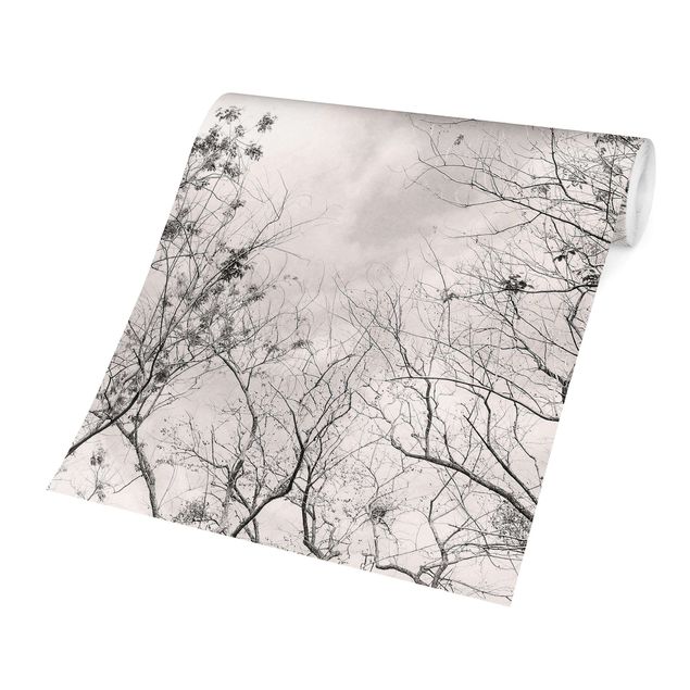 Fototapeten Grau Baumkronen im Himmel in Warmgrau