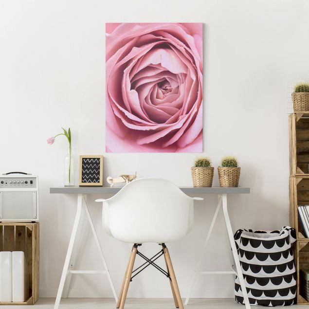 Leinwandbilder Blumen Rosa Rosenblüte