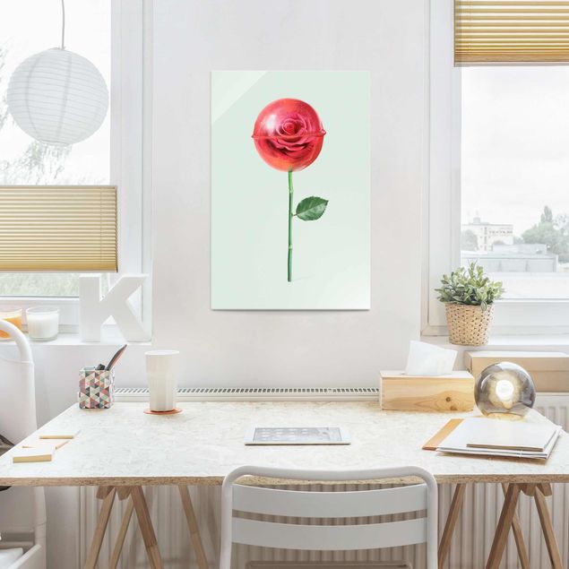 Glasbilder Blumen Motive Rose mit Lollipop