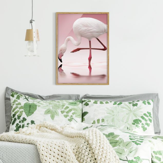 Wandbilder Federn Flamingo Dance