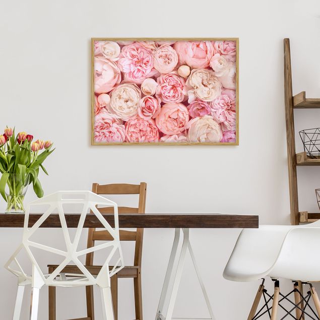 gerahmte Blumenbilder Rosen Rosé Koralle Shabby