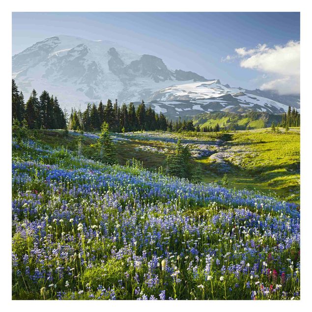 Tapete Landhausstil Bergwiese mit blauen Blumen vor Mt. Rainier
