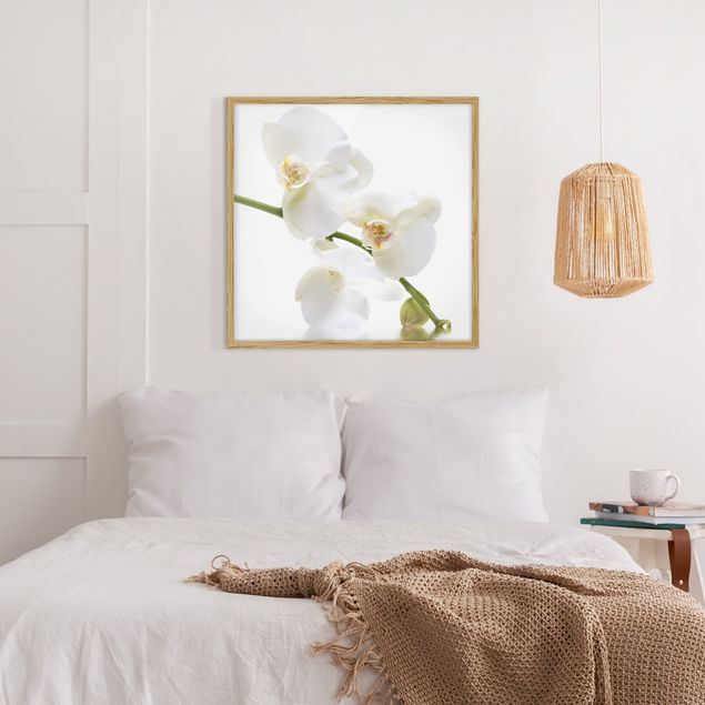 Bilder gerahmt Blumen White Orchid Waters