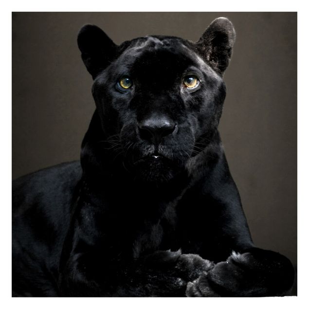 Foto Tapete Black Puma