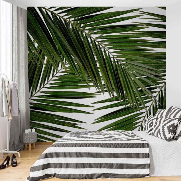 Fototapete modern Blick durch grüne Palmenblätter