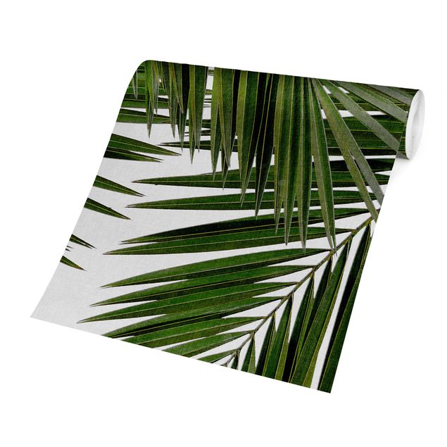 Fototapete gruen Blick durch grüne Palmenblätter