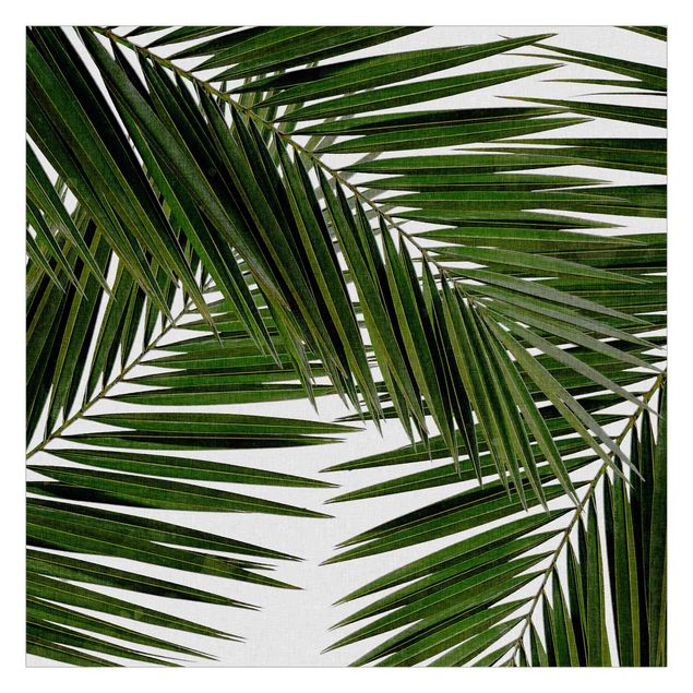 Fototapete Blick durch grüne Palmenblätter