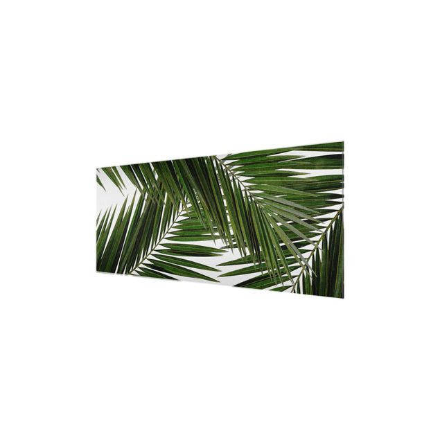 Wandbilder Grün Blick durch grüne Palmenblätter