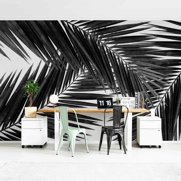 moderne Fototapete Blick durch Palmenblätter Schwarz-Weiß