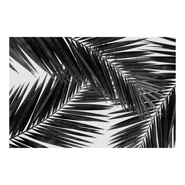 Fototapete - Blick durch Palmenblätter Schwarz-Weiß