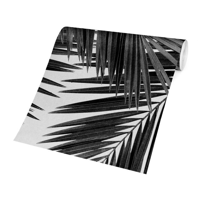 Fototapete kaufen Blick durch Palmenblätter schwarz weiß