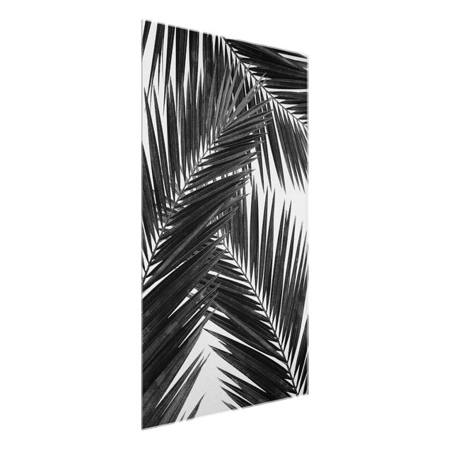 schwarz weiß Glasbilder Blick durch Palmenblätter schwarz weiß