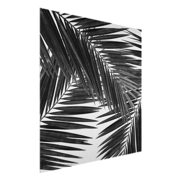 Glasbilder Schwarz-Weiß Blick durch Palmenblätter schwarz weiß