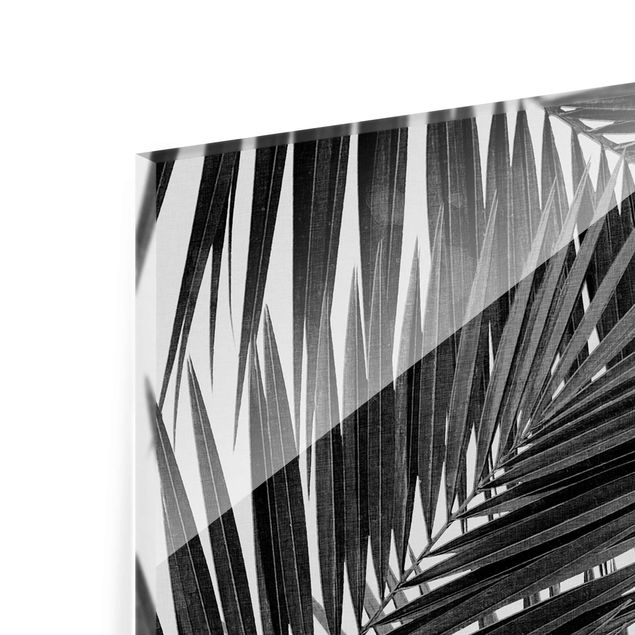 Wandbilder Blick durch Palmenblätter schwarz weiß