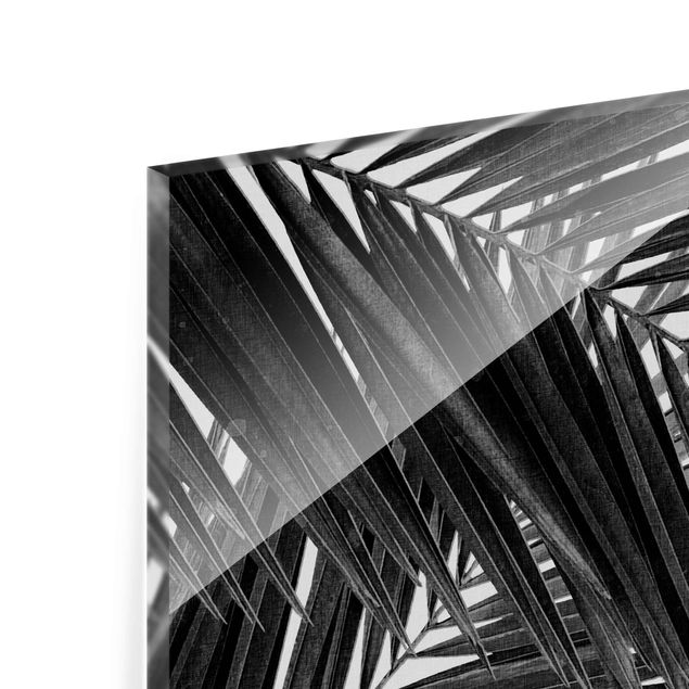 schöne Bilder Blick durch Palmenblätter schwarz weiß