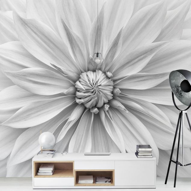moderne Fototapete Botanische Blüte in Weiß