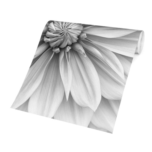 Foto Tapete Botanische Blüte in Weiß