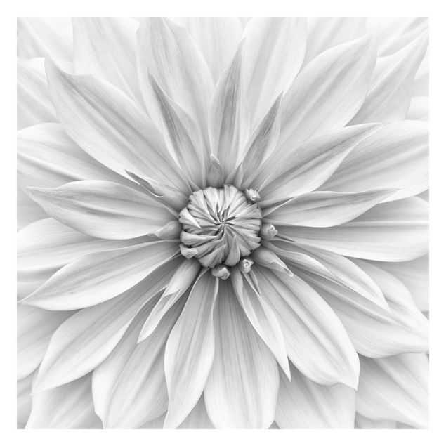 Fototapete - Botanische Blüte in Weiß