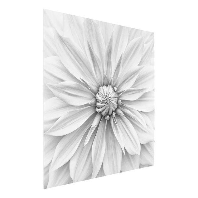 Wandbilder Floral Botanische Blüte in Weiß