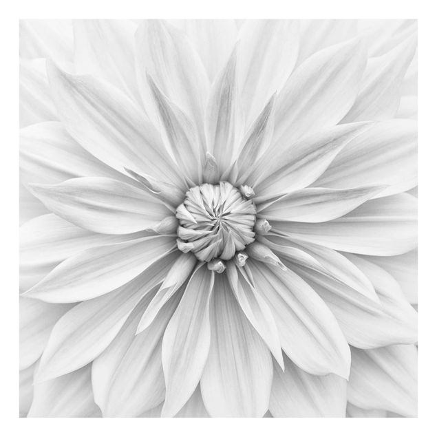 Wandbilder Schwarz-Weiß Botanische Blüte in Weiß