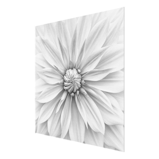 Wandbilder Botanische Blüte in Weiß