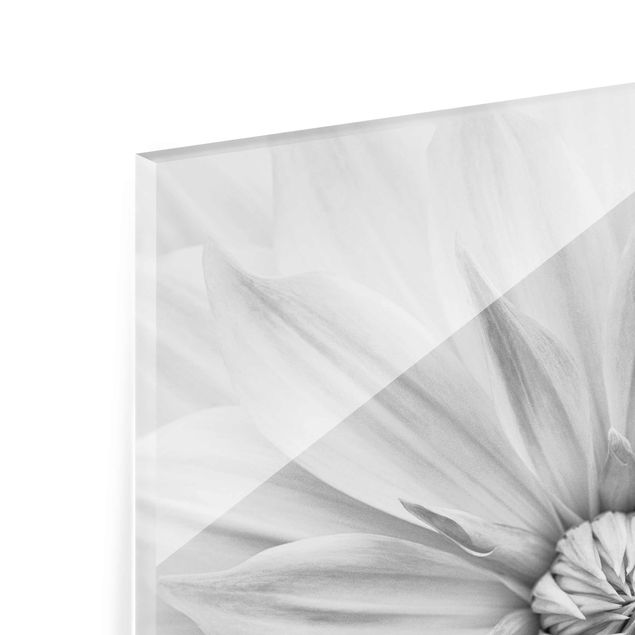 Bilder auf Glas Botanische Blüte in Weiß