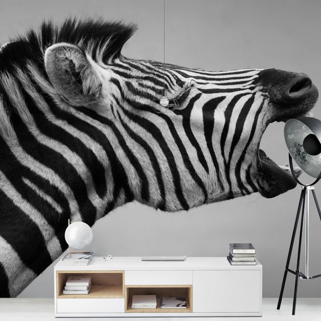 moderne Fototapete Brüllendes Zebra II